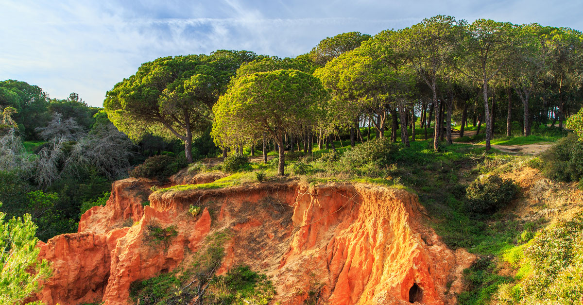 Červené skaly v Parque Natural da Ria Formosa