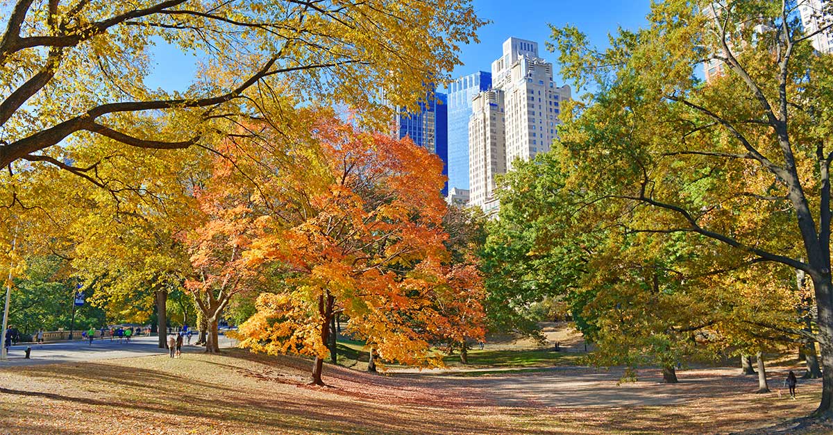 Oddych a relax nájdete v obrovskom Central Parku.