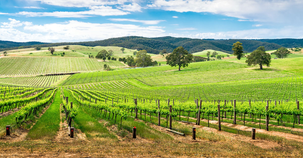 Barossa Valley - Južná Austrália
