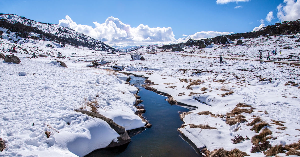 Snowy Mountains - Nový Južný Wales