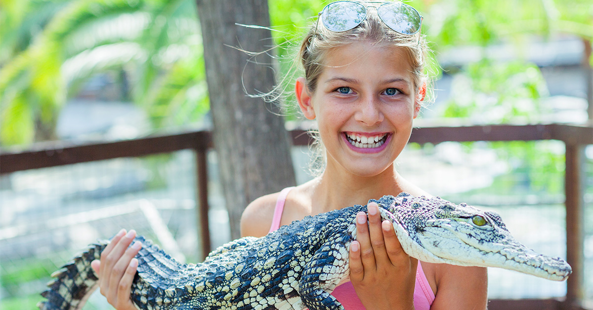 Prítulné aligátory na farme v Zoological Park