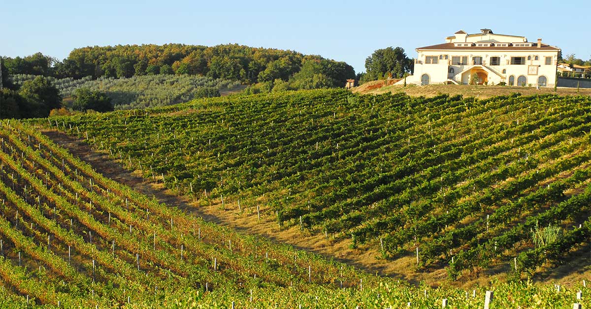 Agroturizmus zažijete na každom rohu