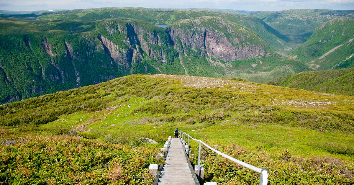 Pohľad na náhornú plošinu Gros Morne