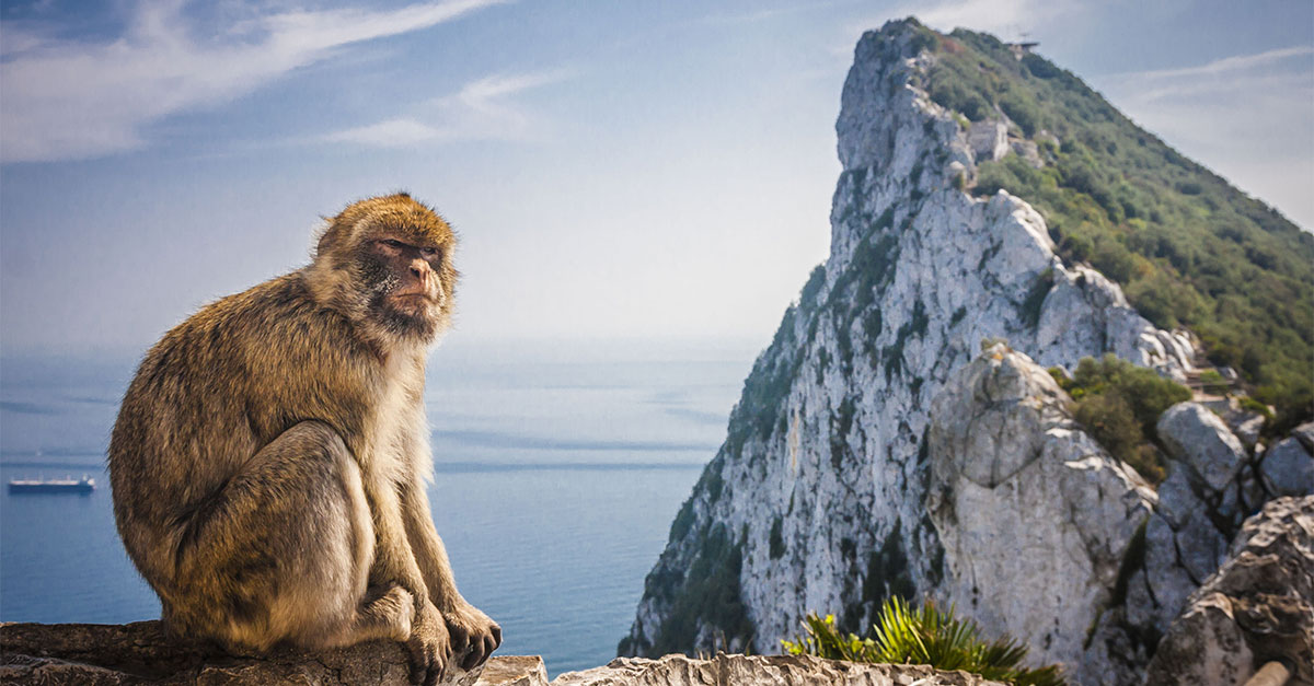Magický pohľad na vrch Upper Rock v Gibraltari posypaný opicami - makaky