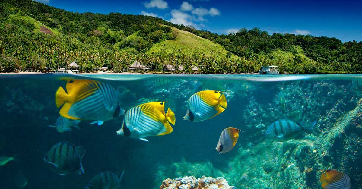 Potápanie a objavovanie prírodných krás na ostrove Fidži