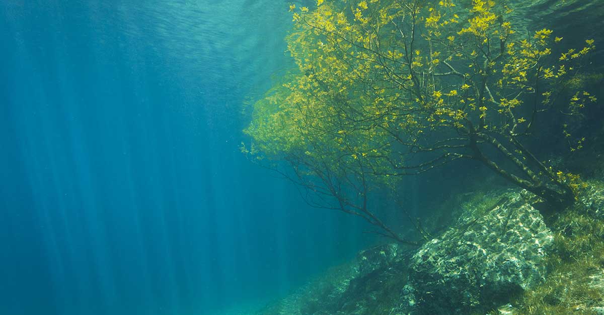 Pod hladinou vody Zeleného jazera